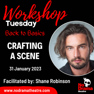 Read more about the article ‘Back to Basics’ Month, Workshop 5: Crafting a Scene – 31 January 2023