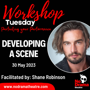 Read more about the article ‘Perfecting your Performance’ Month, Workshop 5: Developing a Scene