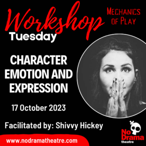 Read more about the article ‘Mechanics of Play’ Month, Workshop 3: Character Emotion and Expression – 17 October 2023